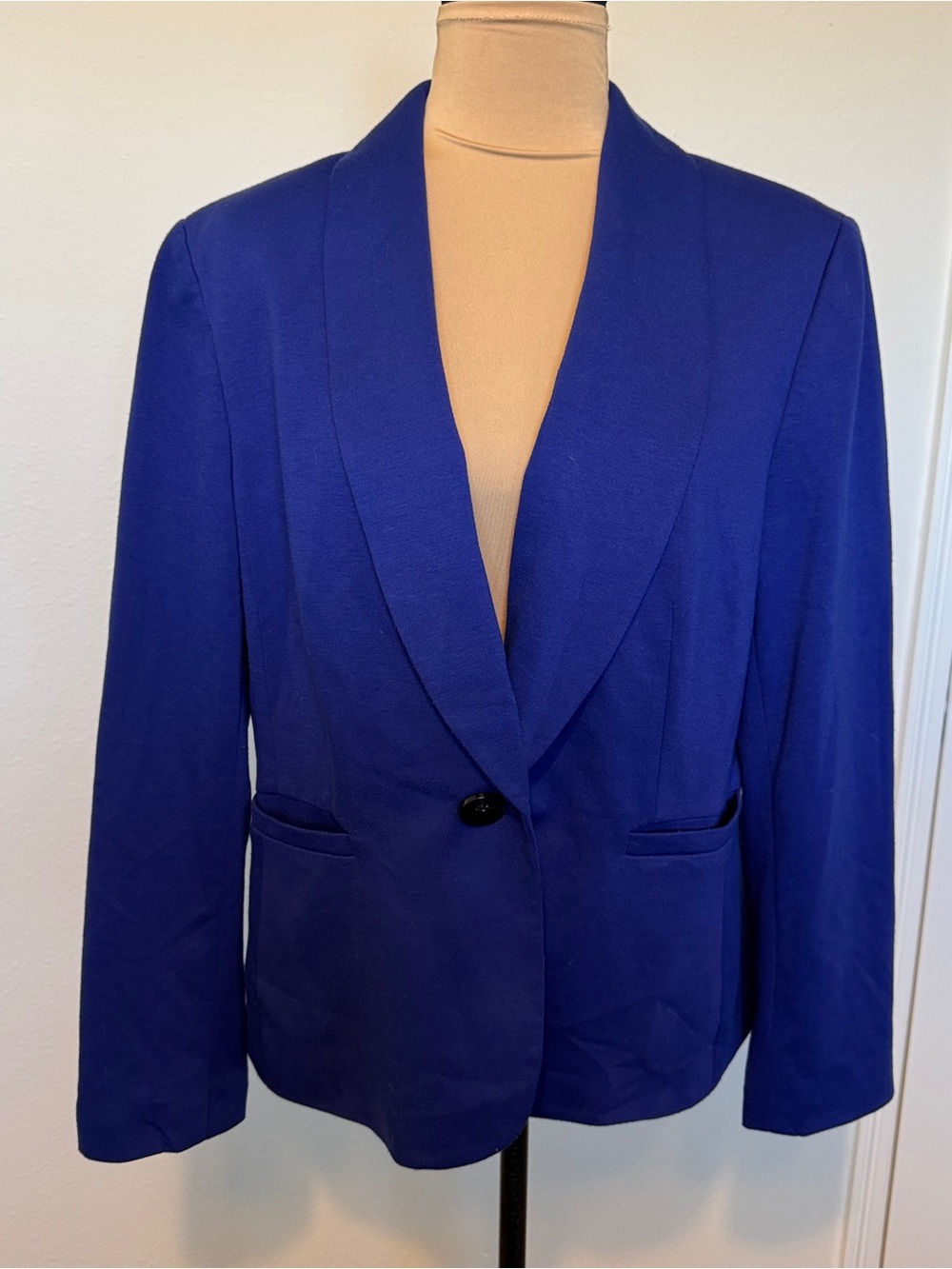 Classic Royal Blue Blazer - Black Label by Evan-Picone
